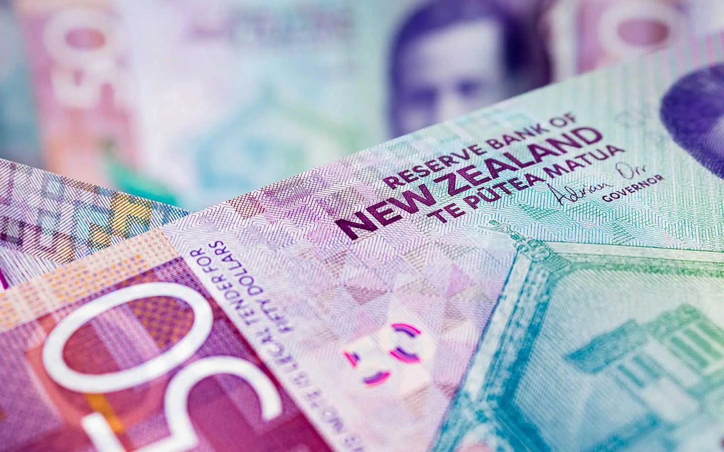 Fitz consulting property inspection christchurch